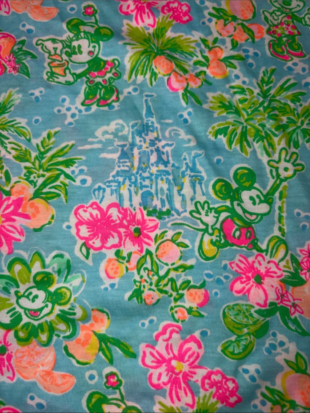 NWOT Lilly Pulitzer x Disney Kristen Swing Dress Sz XXS